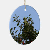 Green Parakeet Keramik Ornament (Rechts)