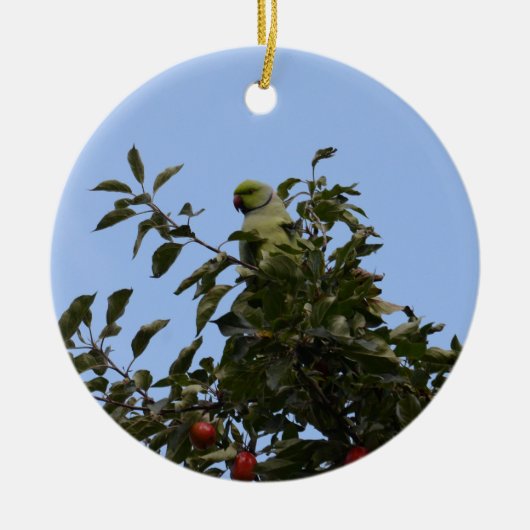 Green Parakeet Keramik Ornament (Vorne)
