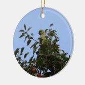 Green Parakeet Keramik Ornament (Links)