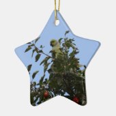 Green Parakeet Keramik Ornament (Links)