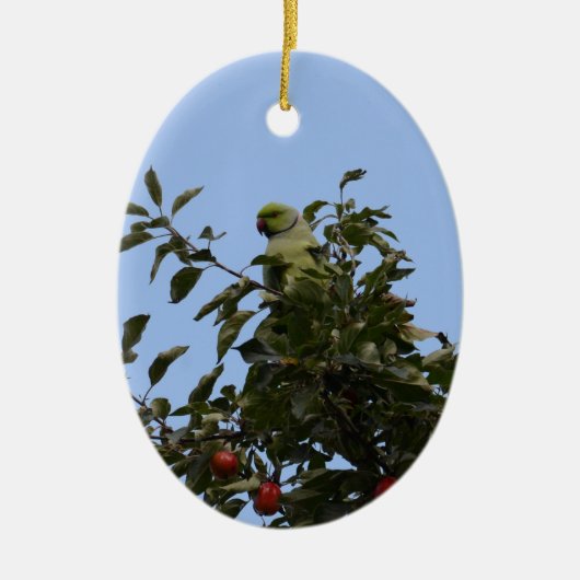 Green Parakeet Keramik Ornament (Vorne)
