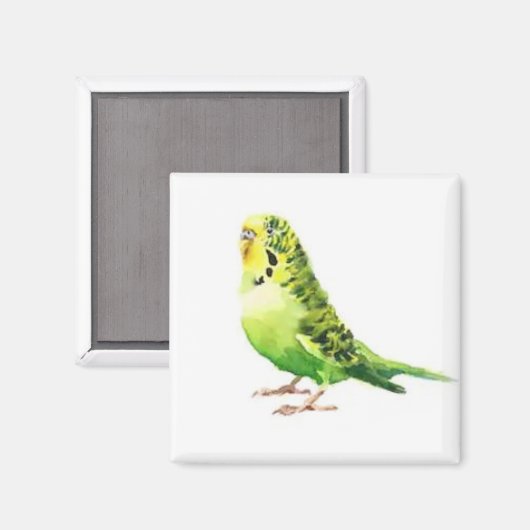 Green Parakeet Magnet (Vorderseite/Rückseite)