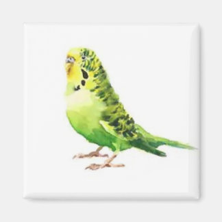 Green Parakeet Magnet