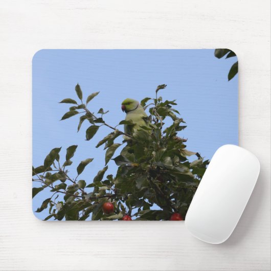 Green Parakeet Mousepad (Mit Mouse)