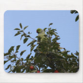 Green Parakeet Mousepad (Vorne)