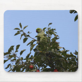 Green Parakeet Mousepad