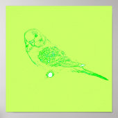 Green Parakeet Poster (Vorne)