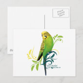 Green Parakeet Postkarte (Vorne/Hinten)