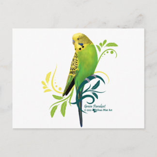 Green Parakeet Postkarte
