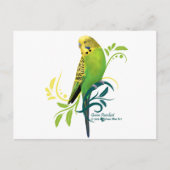 Green Parakeet Postkarte (Vorderseite)