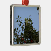 Green Parakeet Silbernes Ornament (Rechts)
