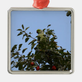 Green Parakeet Silbernes Ornament