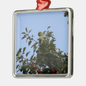 Green Parakeet Silbernes Ornament (Links)