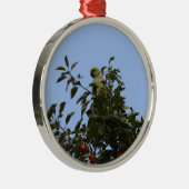 Green Parakeet Silbernes Ornament (Rechts)