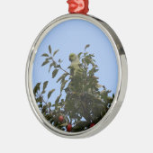 Green Parakeet Silbernes Ornament (Links)