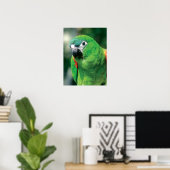 Green Parrot Bird Poster Print (Heimbüro)