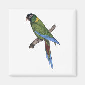 Green Parrot Macaw Kunsthandwerk Malerei Magnet (Vorne)