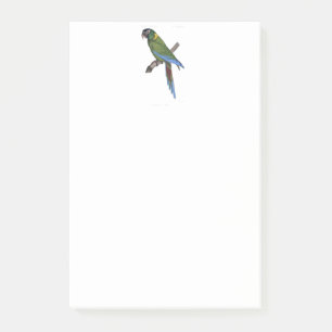 Green Parrot Macaw Kunsthandwerk Malerei Post-it Klebezettel