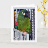 Green Parrot Portrait Karte (Gelbe Blume)