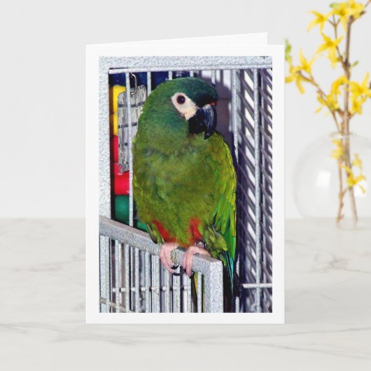 Green Parrot Portrait Karte (Gelbe Blume)