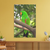 Green Parrot Portrait Leinwanddruck (Insitu (Wohnzimmer))