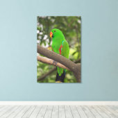Green Parrot Portrait Leinwanddruck (Insitu (Holzboden))