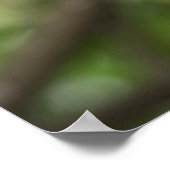 Green Parrot Portrait Poster (Ecke)