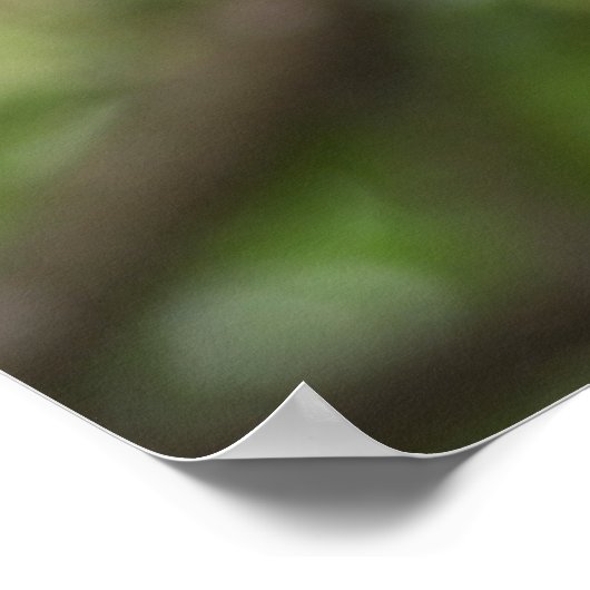 Green Parrot Portrait Poster (Ecke)