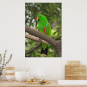 Green Parrot Portrait Poster (Küche)