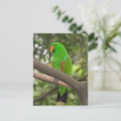 Green Parrot Portrait Postkarte (Stehend Vorderseite)