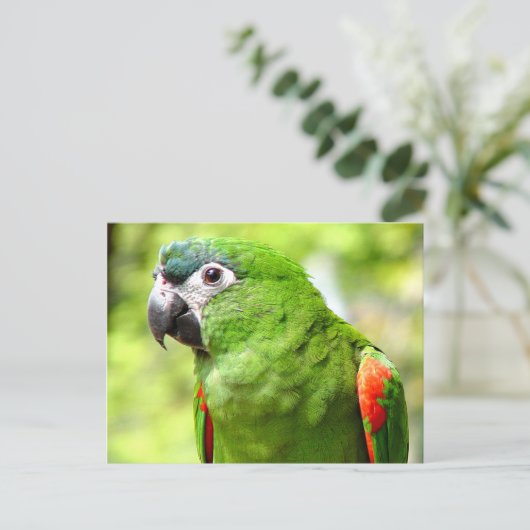 Green Parrot Postcard 2 Postkarte (Stehend Vorderseite)