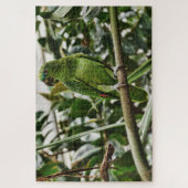 Green Parrot Puzzle (Vertikal)