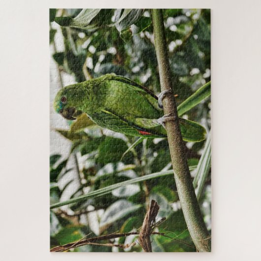 Green Parrot Puzzle (Vertikal)