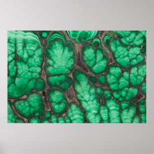Green Patterned Malachite Poster