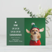 Green Paw La La La Pet Weihnachten (Stehend Vorderseite)