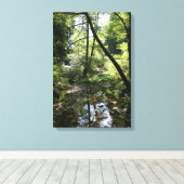 "Green Peace", Muir Woods Leinwanddruck (Insitu (Holzboden))