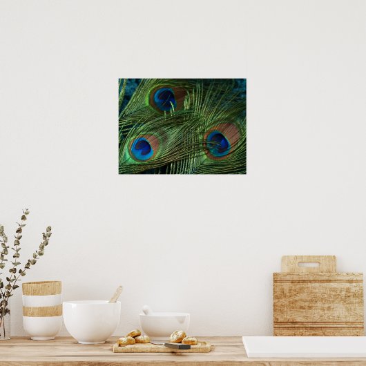 Green Peacock Feather Poster (Küche)