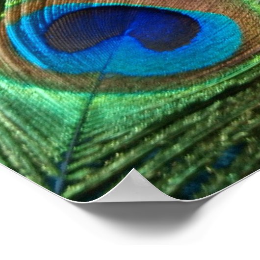 Green Peacock Feather Poster (Ecke)