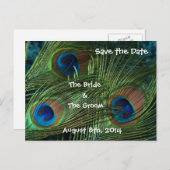 Green Peacock Feathers Save the Date Ankündigungspostkarte (Vorne/Hinten)