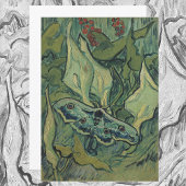 Green Peacock (Kaiser) Moth von Vincent van Gogh Einladung