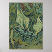 Green Peacock (Kaiser) Moth von Vincent van Gogh Poster (Vorne)