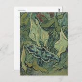 Green Peacock (Kaiser) Moth von Vincent van Gogh Postkarte (Vorne/Hinten)