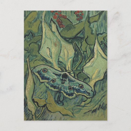 Green Peacock (Kaiser) Moth von Vincent van Gogh Postkarte (Vorderseite)