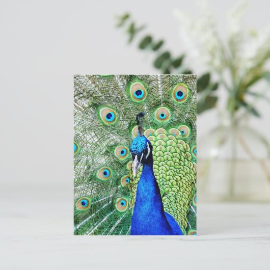 Green Peacock Postkarte (Stehend Vorderseite)