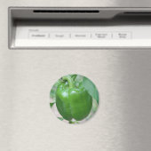 Green Pepper Magnet (In Situ (Geschirrspüler))