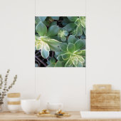 GREEN PFLANZE POSTER (Küche)