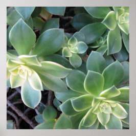 GREEN PFLANZE POSTER