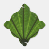 Green Pflanze Take Out Gefallen Box Geschenkschachtel (Ungefaltet)