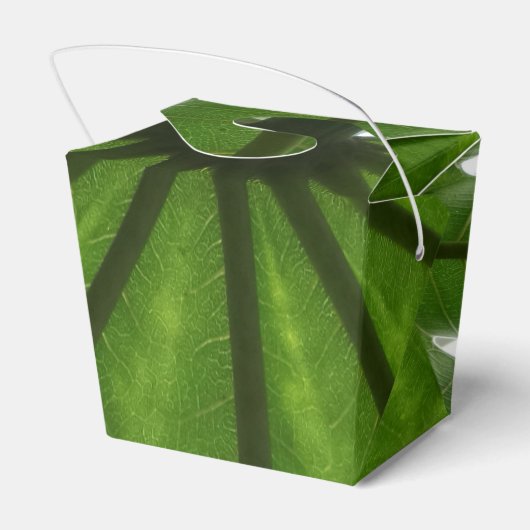 Green Pflanze Take Out Gefallen Box Geschenkschachtel (Rückseite)
