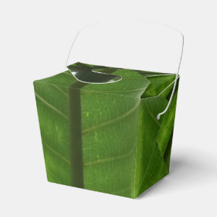 Green Pflanze Take Out Gefallen Box Geschenkschachtel
